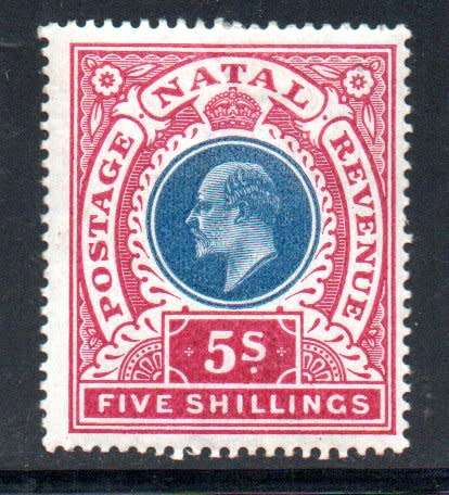 NATAL 1902-3 KEVII 5s M/MINT SINGLE. SACC122. AS PER SCANS. CV R1000. NICE ITEM.