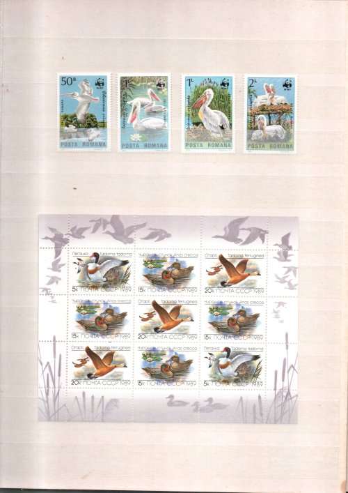 LIGHTHOUSE ALBUM 2ND HAND WITH WORLD BIRD STAMPS (MINT, USED ETC). AS PER (X22) SCANS. NB: PLS READ!