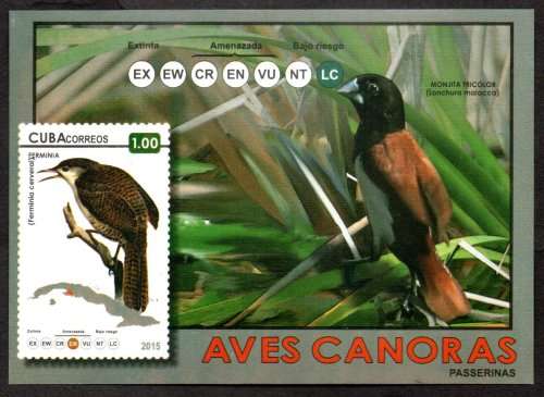 CUBA 2015 SONGBIRDS UMM MINI SHEET. AS PER SCANS. LOVELY ITEM.