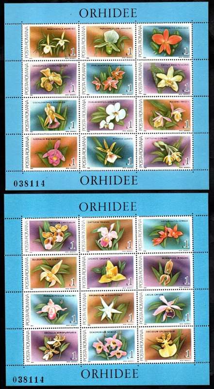 ROMANIA 1988 ORCHIDS SET OF (X2) SHEETS UMM. AS PER SCANS. SGMS5205a/b. LOVELY ITEMS. CV GBP 14.5.