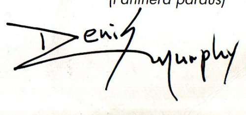 RSA 1993 INVITE TO DENIS MURPHY TO TELKOM PHONE CARDS BIG 5 SERIES LAUNCH + PRES PACK SIGNED. READ