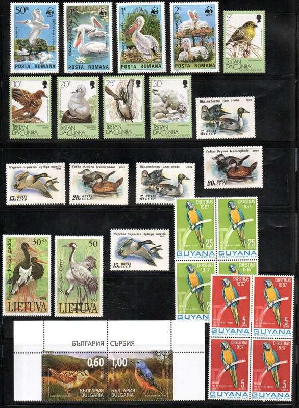 WORLD CLEARANCE LOT OF BIRDS THEMATIC SINGLES, BLKS, MSHEETS ETC. AS PER SCANS. UMM. GOOD VALUE!