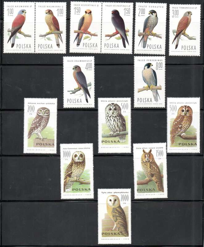 POLAND 1975 BIRDS OF PREY SET OF (X8) UMM + 1990 OWLS SET OF (X6). AS PER SCANS. NICE SETS.