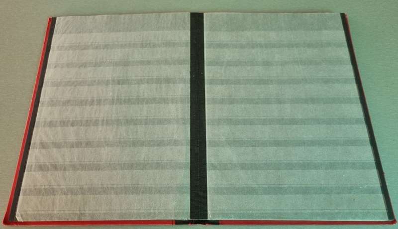 PRINZ EMPTY STOCKBOOK 2ND HAND. 16 PAGES/32 SIDES. NICE ITEM. NB: PLEASE READ BELOW!!