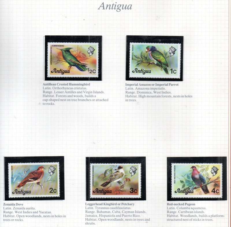 WORLD SELECTION OF BIRDS UMM SINGLES. NOT ALL COMPLETE SETS. AS PER (X30) SCANS. NICE LOT. READ