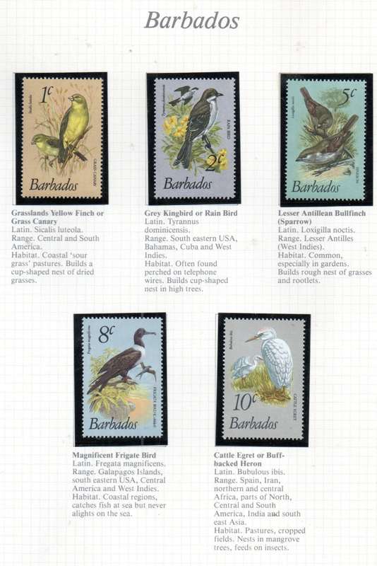 WORLD SELECTION OF BIRDS UMM SINGLES. NOT ALL COMPLETE SETS. AS PER (X30) SCANS. NICE LOT. READ