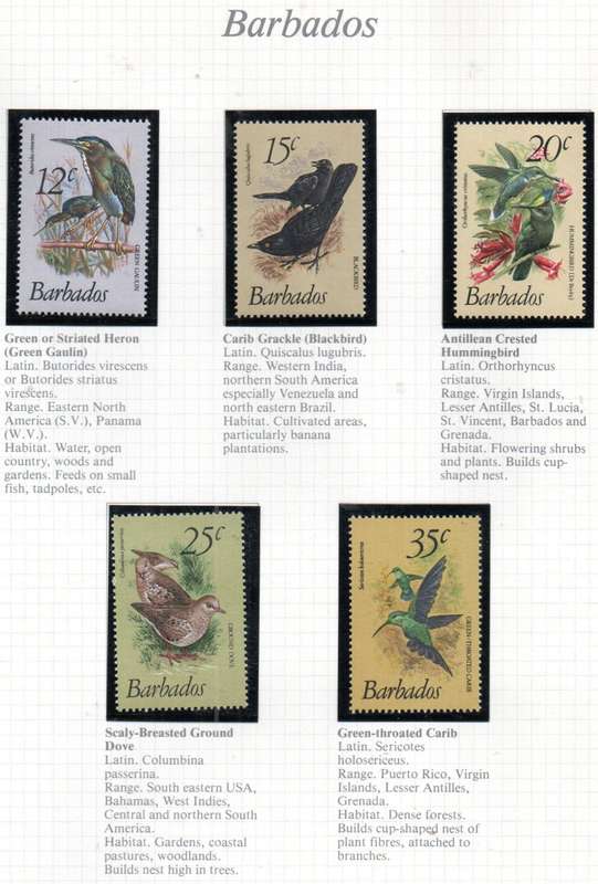 WORLD SELECTION OF BIRDS UMM SINGLES. NOT ALL COMPLETE SETS. AS PER (X30) SCANS. NICE LOT. READ