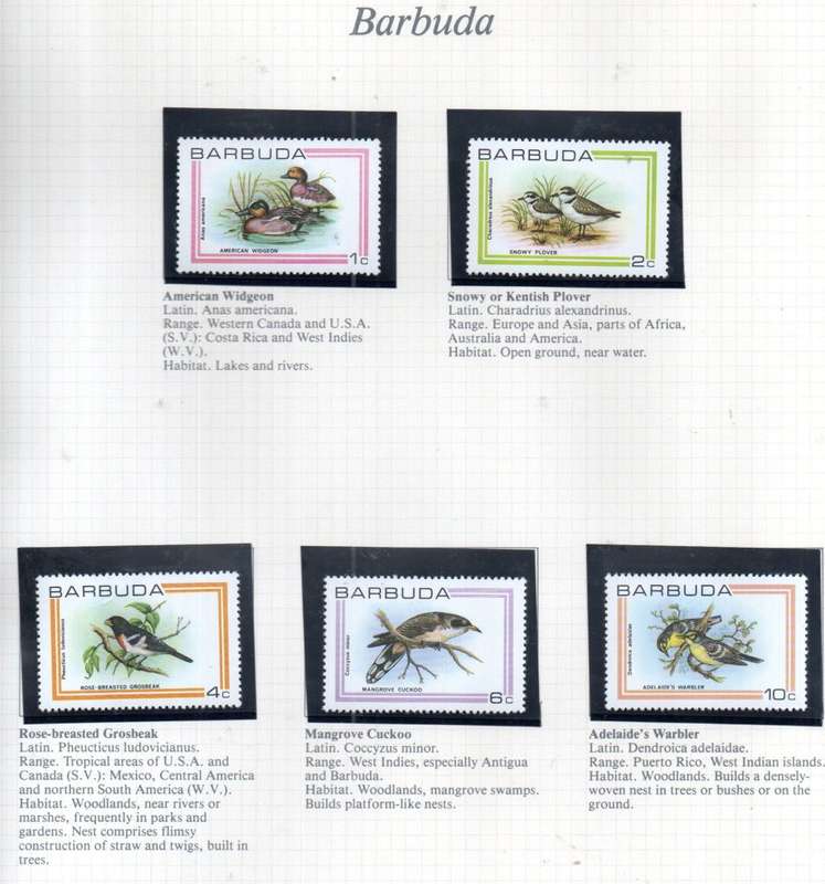 WORLD SELECTION OF BIRDS UMM SINGLES. NOT ALL COMPLETE SETS. AS PER (X30) SCANS. NICE LOT. READ