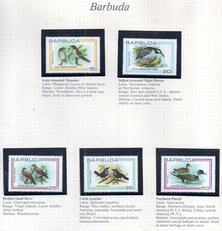 WORLD SELECTION OF BIRDS UMM SINGLES. NOT ALL COMPLETE SETS. AS PER (X30) SCANS. NICE LOT. READ