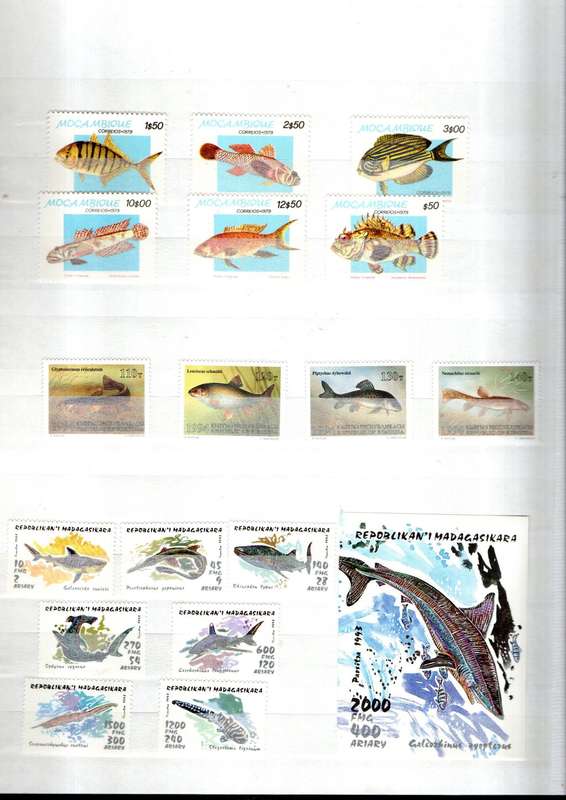 ALBUM 2ND HAND IN GOOD NICK WITH FISH THEMATICS. 8 PAGES/16 SIDES. NB: PLEASE READ BELOW!!