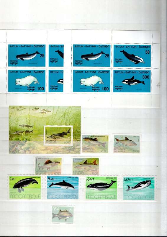 ALBUM 2ND HAND IN GOOD NICK WITH FISH THEMATICS. 8 PAGES/16 SIDES. NB: PLEASE READ BELOW!!