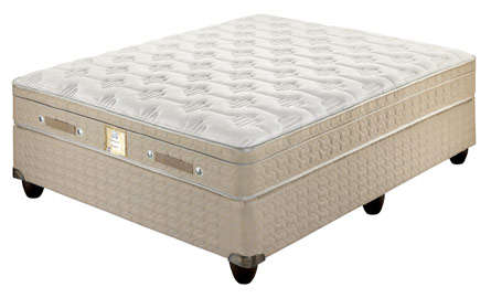 Sealy Cedar Firm - Double Bed Set