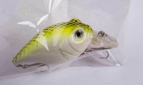Fishing Lure