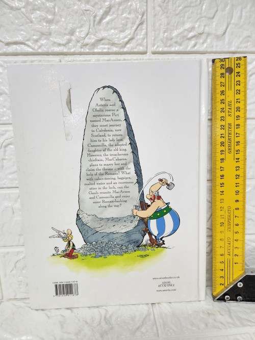 Asterix and the Picts