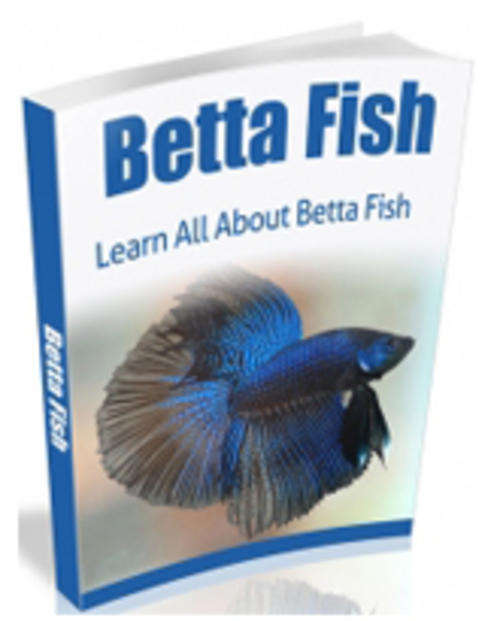 Betta Fish EBook Free shipping