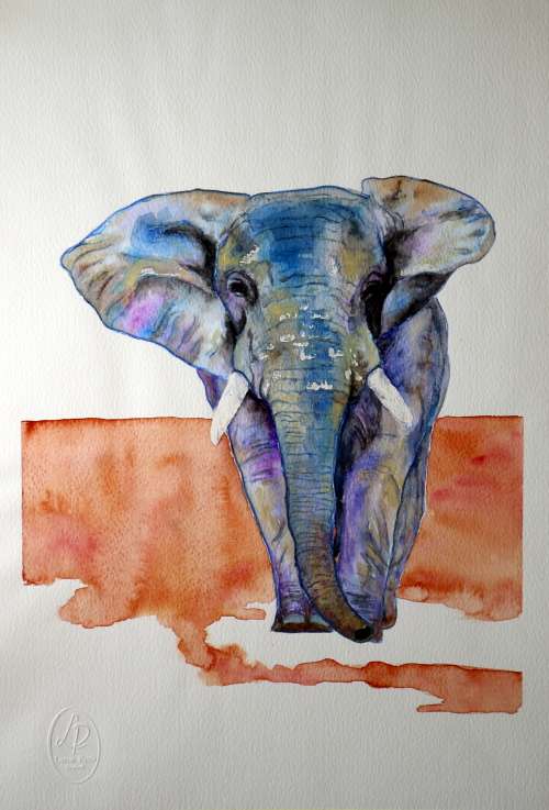Original Painting by Lorna Pauls - African Elephant (297 x 420 mm or 11.7 x 16.5 in)