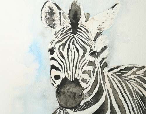 Original Painting by Lorna Pauls - Zebra (297 x 420 mm or 11.7 x 16.5 in)