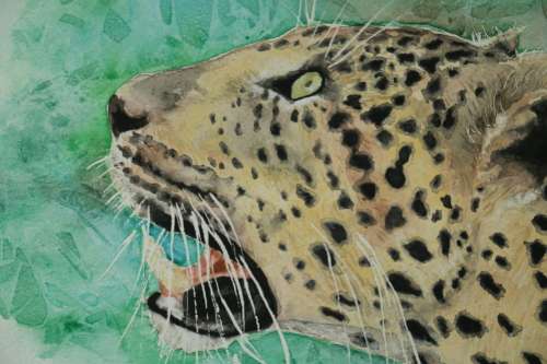 Original Painting by Lorna Pauls - Leopard (297 x 420 mm or 11.7 x 16.5 in)