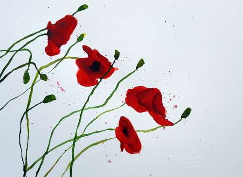 Original Painting by Lorna Pauls - Poppies 3 (37 x 28 cm or 14.5 x 11")