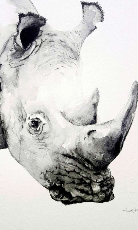 Original Painting by Lorna Pauls - Rhino Black & White (37 x 28 cm or 14.5 x 11")