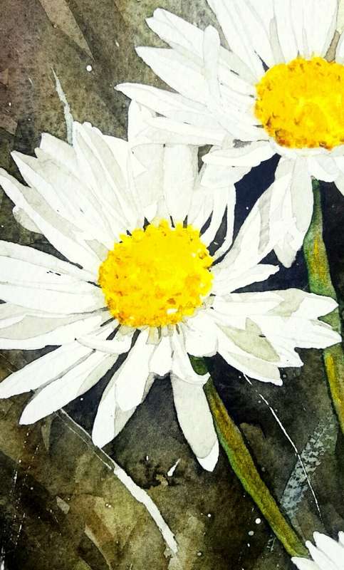 Original Painting by Lorna Pauls - Daisies 1 (37 x 28 cm or 14.5 x 11")