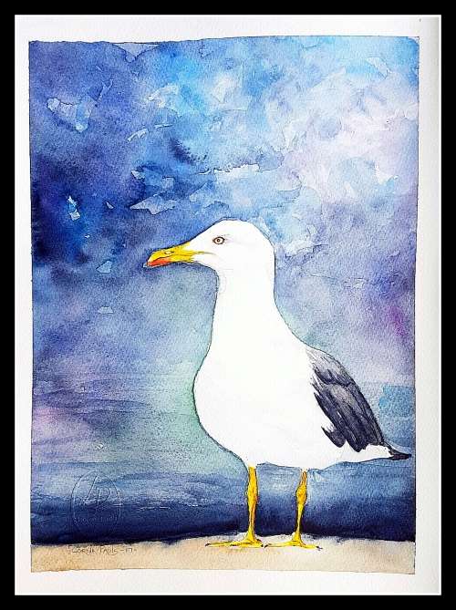 Original Painting by Lorna Pauls - Seagull 1 (37 x 28 cm or 14.5 x 11")