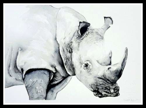 Original Painting by Lorna Pauls - Rhino Black & White (37 x 28 cm or 14.5 x 11")