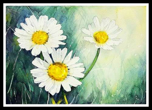 Original Painting by Lorna Pauls - Daisies 2 (37 x 28 cm or 14.5 x 11")