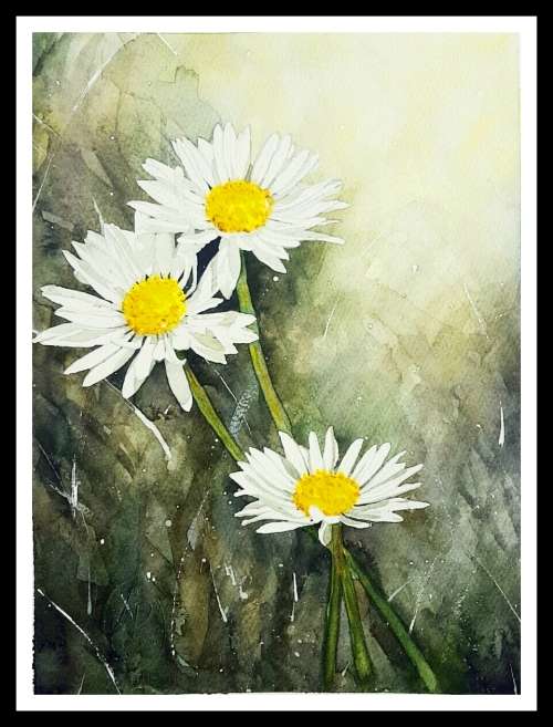 Original Painting by Lorna Pauls - Daisies 1 (37 x 28 cm or 14.5 x 11")