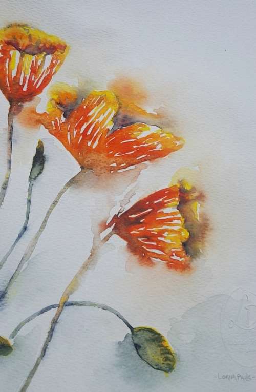 Original Painting by Lorna Pauls - Yellow Poppies (42 x 29.5 cm or 16.5 x 11.5")