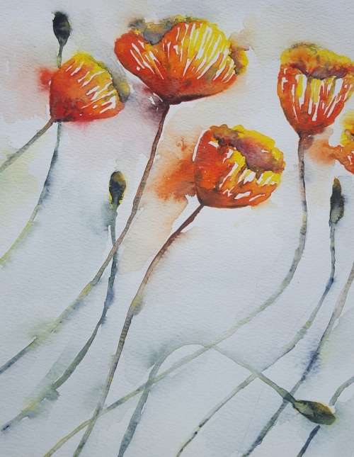 Original Painting by Lorna Pauls - Yellow Poppies (42 x 29.5 cm or 16.5 x 11.5")
