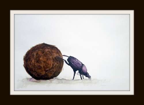 Original Painting by Lorna Pauls - Dung Beetle (55cm x 37.5cm or 21.5" x 14.5")
