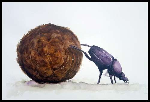 Original Painting by Lorna Pauls - Dung Beetle (55cm x 37.5cm or 21.5" x 14.5")