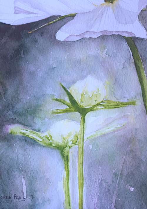 Original Painting by Lorna Pauls - Cosmos 2 (42 x 29.5 cm or 16.5 x 11.5")