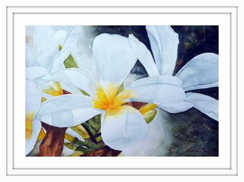 Original Painting by Lorna Pauls - Frangipani 1 (42 x 29.5 cm or 16.5 x 11.5")