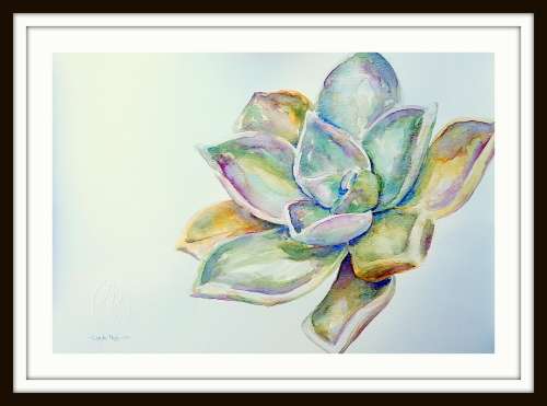 Original Painting by Lorna Pauls - Succulent 1 (42 x 29.5 cm or 16.5 x 11.5")