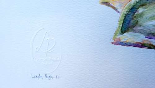 Original Painting by Lorna Pauls - Succulent 1 (42 x 29.5 cm or 16.5 x 11.5")