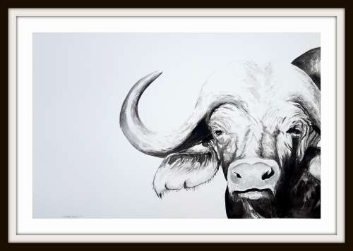 Original Painting by Lorna Pauls - Buffallo Black&White 2 (55cm x 37.5cm)