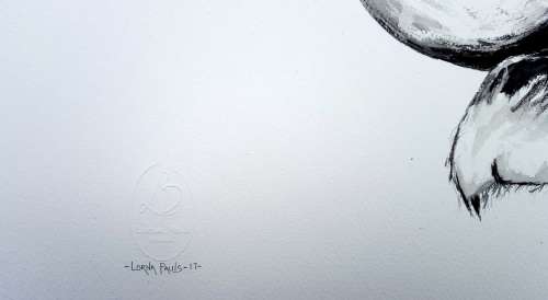 Original Painting by Lorna Pauls - Buffallo Black&White 2 (55cm x 37.5cm)