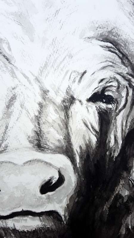 Original Painting by Lorna Pauls - Buffallo Black&White 2 (55cm x 37.5cm)