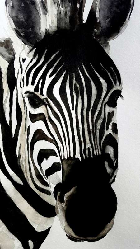 Original Painting by Lorna Pauls - Zebra2 (29.7cm x 42cm)
