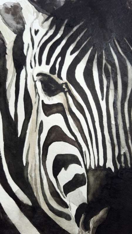 Original Painting by Lorna Pauls - Zebra2 (29.7cm x 42cm)