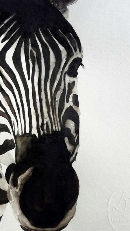 Original Painting by Lorna Pauls - Zebra2 (29.7cm x 42cm)