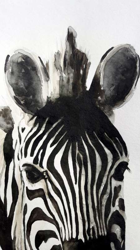 Original Painting by Lorna Pauls - Zebra2 (29.7cm x 42cm)