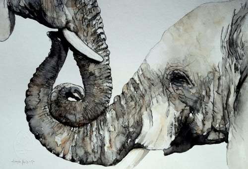 Original Painting by Lorna Pauls - "Embrace" Elephant (42cm x 29.5cm)