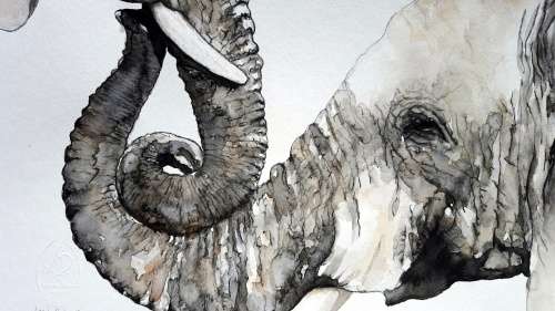 Original Painting by Lorna Pauls - "Embrace" Elephant (42cm x 29.5cm)