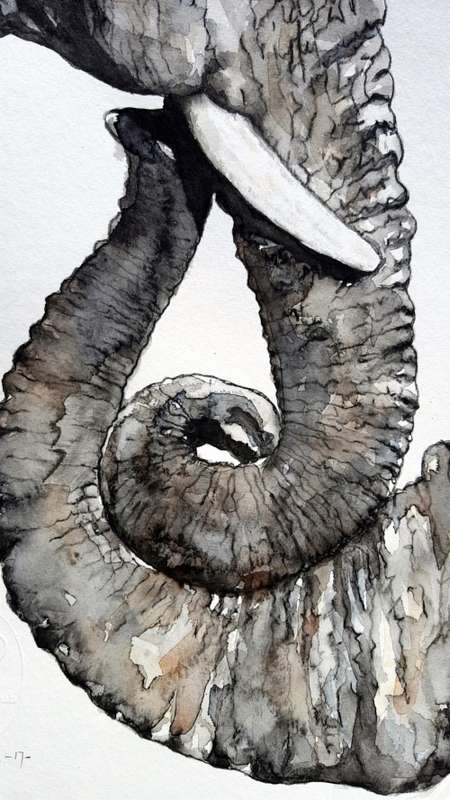 Original Painting by Lorna Pauls - "Embrace" Elephant (42cm x 29.5cm)