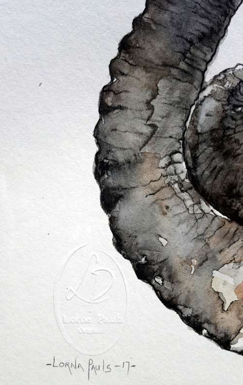 Original Painting by Lorna Pauls - "Embrace" Elephant (42cm x 29.5cm)