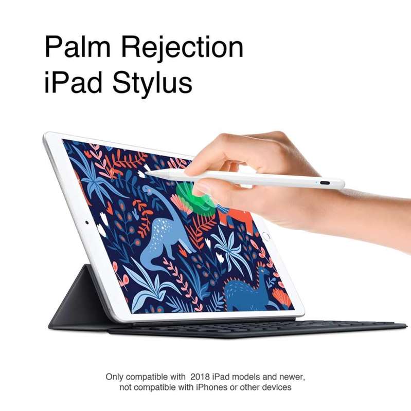 DW-C1 Active Stylus Pen