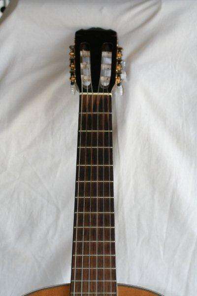 guitar_004.jpg